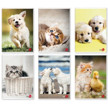 Immagine del prodotto