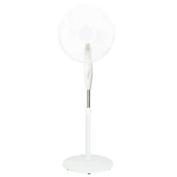 Immagine del prodotto