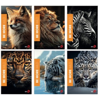 Immagine del prodotto