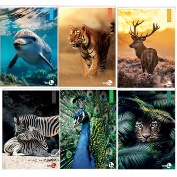 Immagine del prodotto