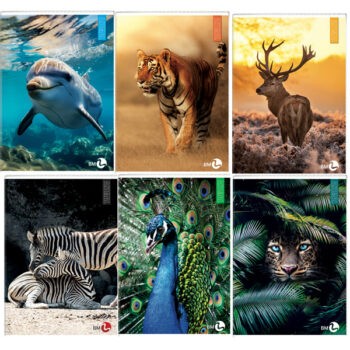 Immagine del prodotto