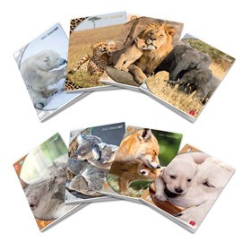 Immagine del prodotto