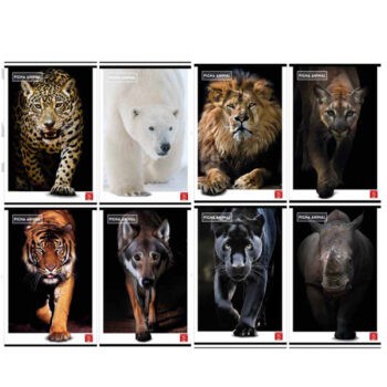 Immagine del prodotto